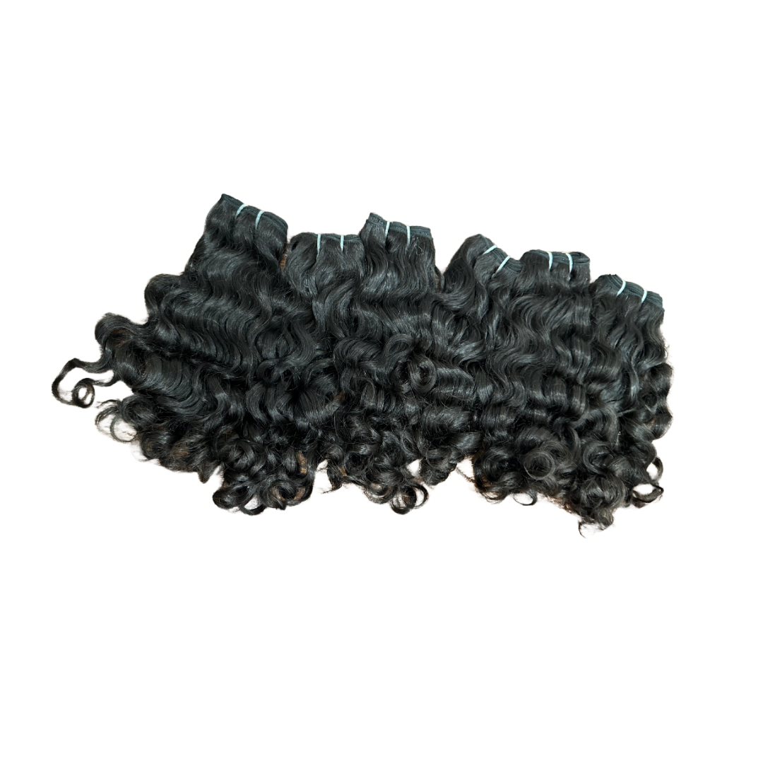 Raw Indian Curly BUNDLE (SHIPS BETWEEN 5/28 - 6/4)